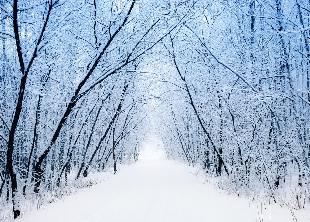 Slideshow image
